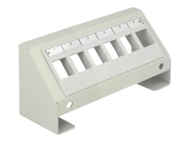 Delock Keystone Multimedia Panel - Oberflächenmontage-Verteilerkasten