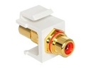 Delock Modularer Einschub (Kopplung) - RCA