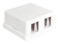 Delock Keystone Surface Mounted Box - Gehäuse mit modularen Einsätzen