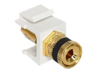 Delock Modulare Eingabe - Binding Post - Schwarz