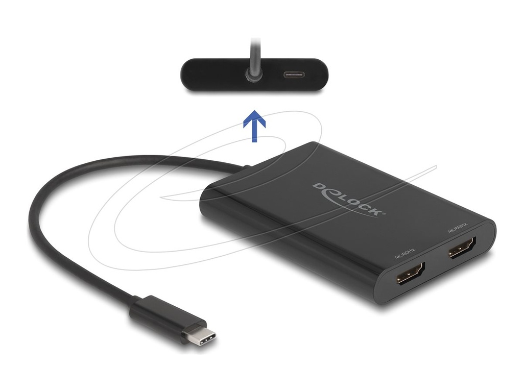Delock Dockingstation - USB-C / Thunderbolt