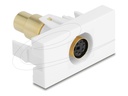 Delock Easy 45 - Einrastmodul - vergoldet - 6-poliger Mini-DIN ( weiblich )