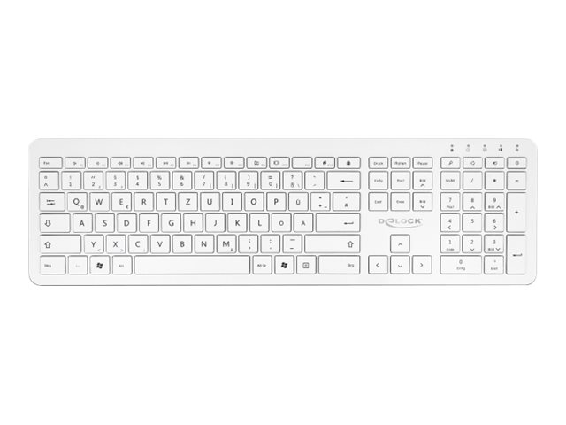 Delock Tastatur - kabellos - 2.4 GHz - QWERTZ