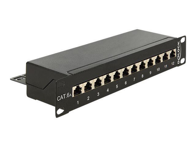 Delock Patch Panel - CAT 6a - RJ-45 X 12 - Jet Black, RAL 9005 - 1U - 25.4 cm (10")
