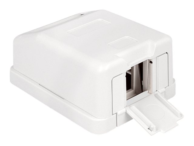 [86235] Delock Keystone Surface Mounted Box - Gehäuse