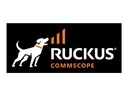 Ruckus Virtual SPoT - Lizenz - 1 Access Point