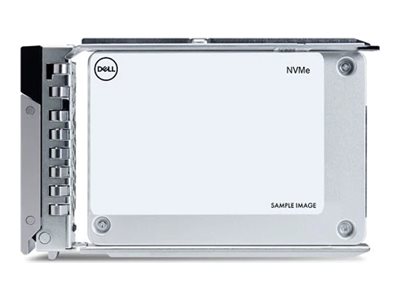 Dell  Kunden-Kit - SSD - Rechenzentrum, Lesen intensiv - 960 GB - mit Träger - 2.5" (6.4 cm)