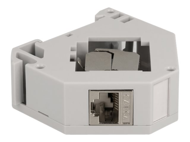 Delock Modularadapter - DIN schienenmontierbar