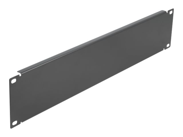 Delock Rack-Blindabdeckungsplatte - Schwarz - 2U - 48.3 cm (19")
