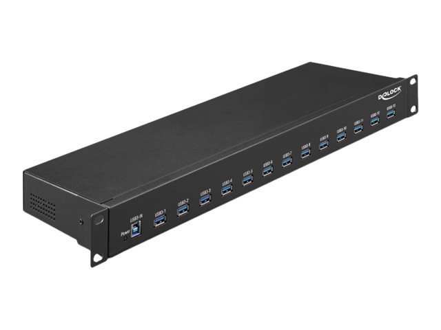 Delock Hub - 13 x USB 3.1 Gen 1 - an Rack montierbar