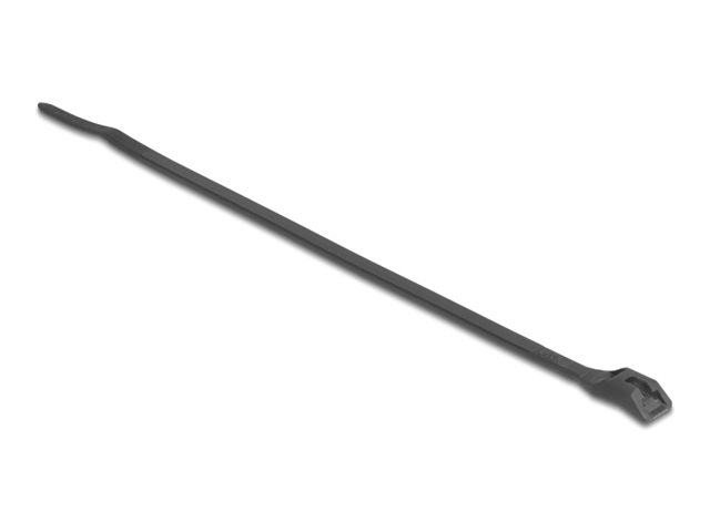 [19466] Delock Kabelbinder - mit flachem Kopf, B 2,5 mm - 20.5 cm - Schwarz (Packung mit 100)