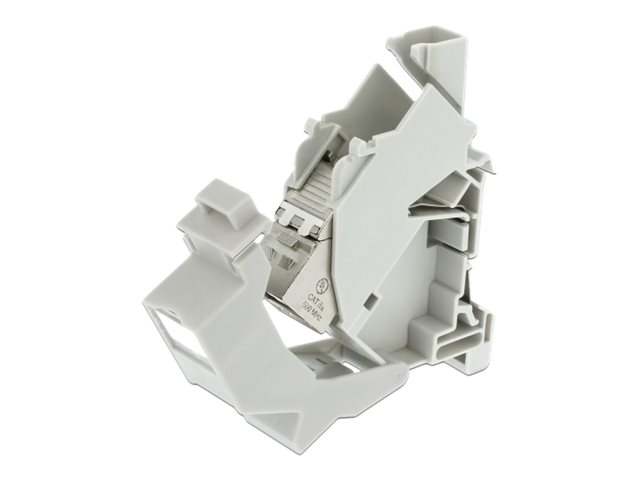 Delock Keystone Mounting for DIN rail with dust cover