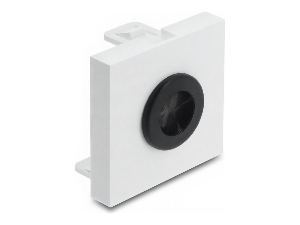 Delock Easy 45 - Einrastmodul - Kabeldurchführung
