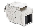 Delock Modulare Eingabe - mit Sperrclip und