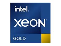 Dell Intel Xeon Gold 6542Y - 2.9 GHz - 24 Kerne - 48 Threads