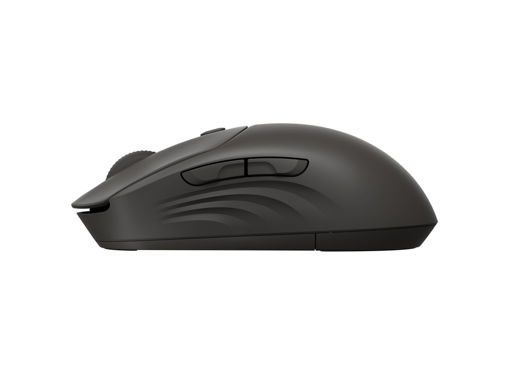 HP 405 - Maus - leise - rechts- und linkshändig - optisch - 5 Tasten - kabellos - Bluetooth 5.2, 2.4 GHz - kabelloser Empfänger (USB)