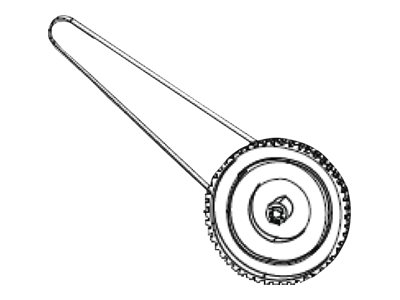 Zebra Übertragungsausgang und -gürtel