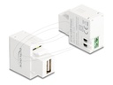 Delock Keystone module - USB-Adapter - USB (W)