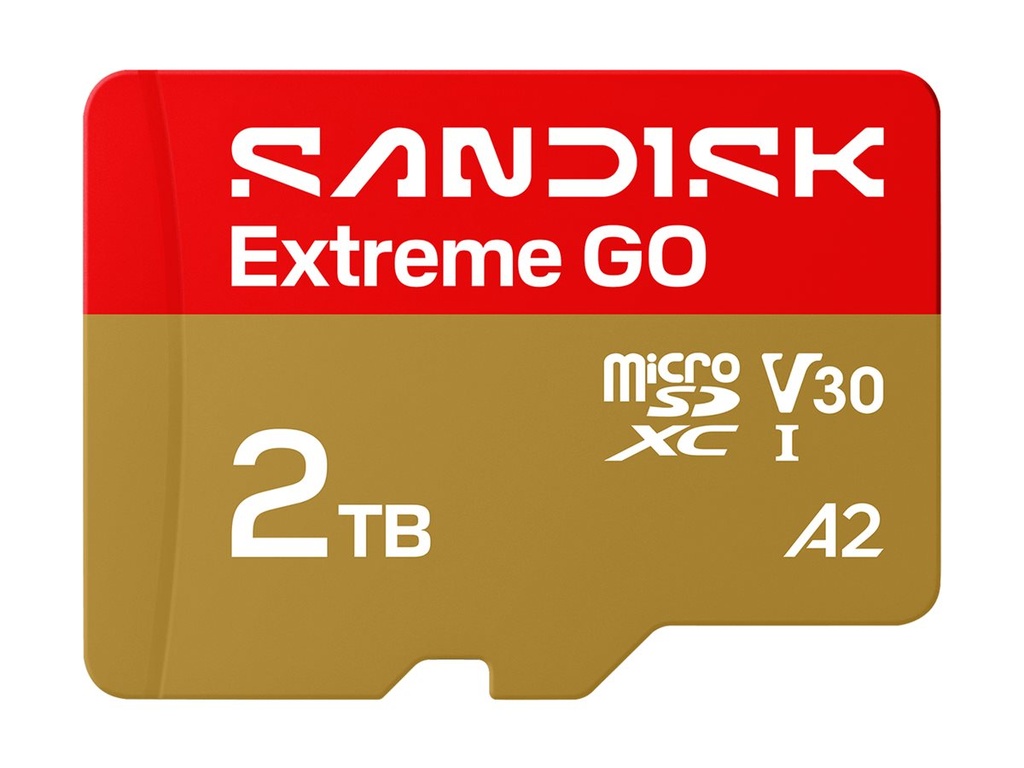 SanDisk Extreme Go - Flash-Speicherkarte - 2