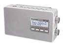 Panasonic RF-D10EG - Tragbares DAB-Radio - 2 Watt