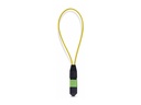 StarTech.com Startech - Loopback-Adapter - TAA-konform - MPO-12 Single-Mode (M)
