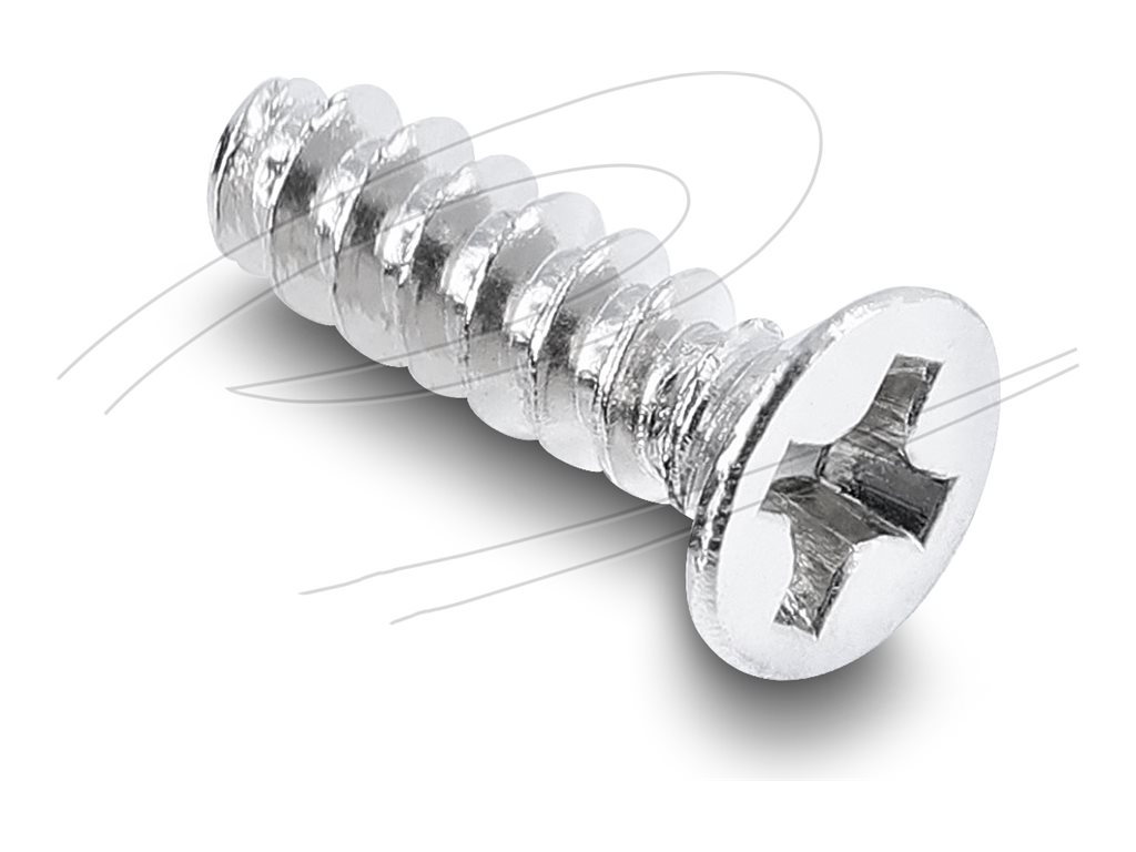 [60987] Delock Schrauben-Kit - M3 x 10 mm - Silber (Packung mit 50)