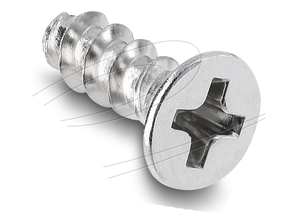 Delock Schrauben-Kit - M4 x 10 mm - Silber (Packung mit 50)