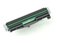 Zebra 203 dpi - Druckkopf - für Zebra ZD421d