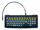 Zebra Tastatur - hinterleuchtet - USB - QWERTY