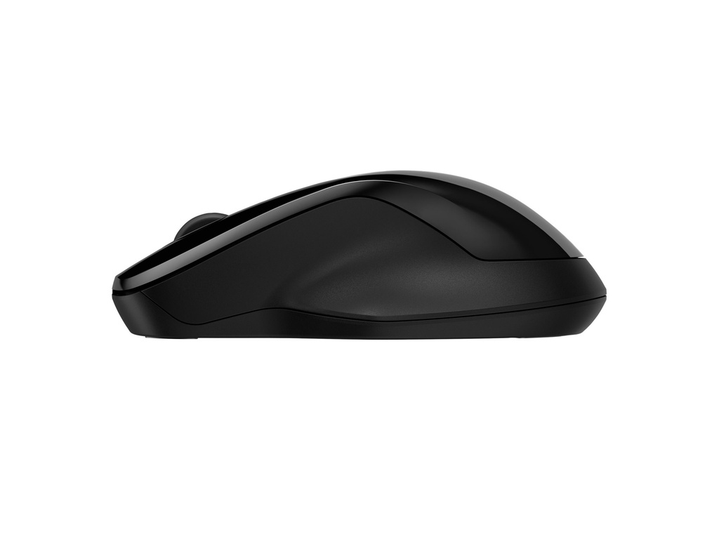 HP 250 - Maus - optisch - 3 Tasten - kabellos