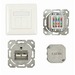 Synergy 21 Dosen TP UP 2-fach CAT6A Reinweiss LSA senkrechter hinterer