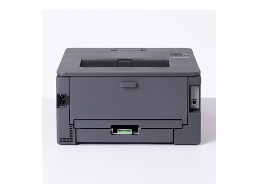 [HLL2400DWRE1] Brother HL-L2400DW - Drucker - s/w - Duplex