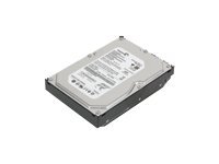 [45J7918] Lenovo Festplatte - 1 TB - intern - 3.5" (8.9 cm)