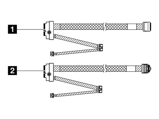 [4X97A87900] Lenovo Speicherkabelkit - für M.2 SATA/NVMe