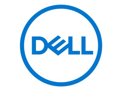 [461-AAEN] Dell Trusted Platform Module 2.0 - Hardwaresicherheitschip