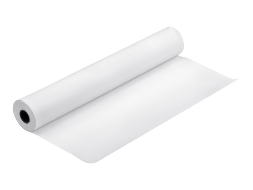[C13S045289] Epson Presentation Paper HiRes 120 - Rolle (106,7 cm x 30 m)