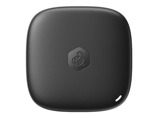 [BDS70-4T] Synology BeeDrive - SSD - 4 TB - extern (tragbar)