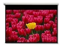 [DE-9120EGA] Optoma Panoview DE-9120EGA - Leinwand - motorisiert - 305 cm (120")