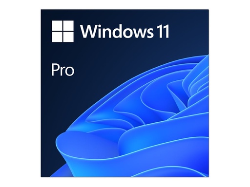 [FQC-10572] Microsoft Windows 11 Pro - Lizenz - 1 Lizenz - ESD - National Retail, 64-bit