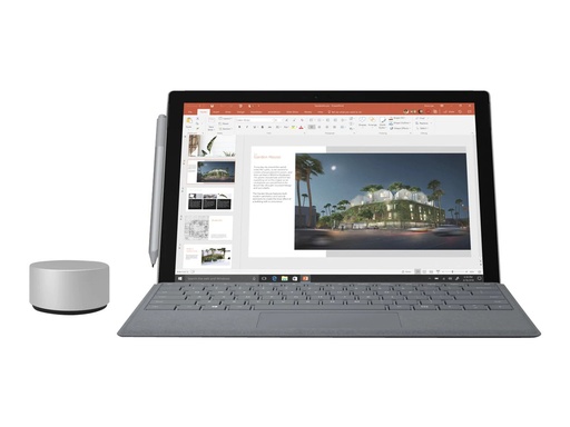 [ZEW-00004] Microsoft Surface Pro - 11th Edition - Tablet - Snapdragon X Plus X1P-64-100 - Win 11 Pro - Qualcomm Adreno - 16 GB RAM - 256 GB SSD - 33 cm (13")