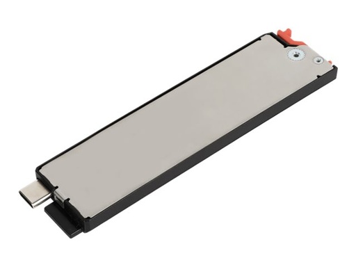 [GSS2XD] GETAC SSD - 256 GB - mit Kanister - intern
