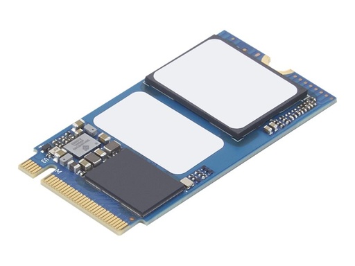 [4XB1E26214] Lenovo SSD - 256 GB - intern - M.2 2242 - PCIe 3.0 x4 (NVMe)