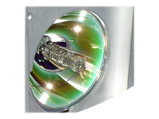 [EC.J5400.001] Acer Projektorlampe - für Acer P5260i