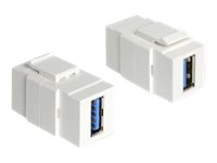 [86319] Delock Modularer Einschub (Kopplung) - SuperSpeed