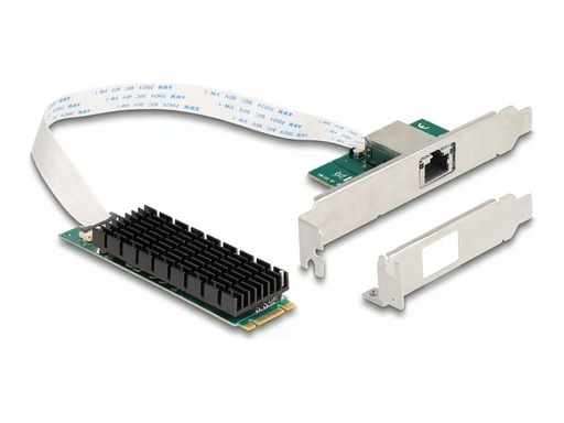 [95274] Delock Netzwerkadapter - M.2 2280 (B+M Key)