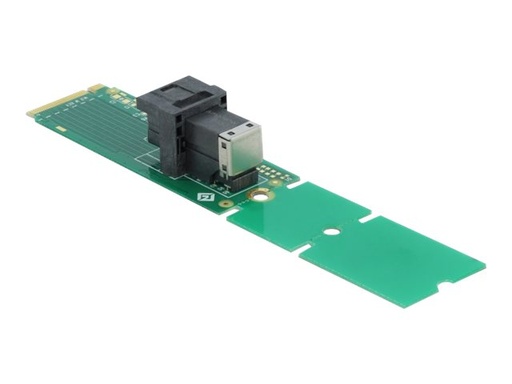 [63145] Delock Adapter M.2 Key M to SFF-8643 NVMe 22110