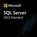 [DG7GMGF0MF3T:0002] Microsoft SQL Server 2022 - Lizenz - 1 Benutzer-CAL