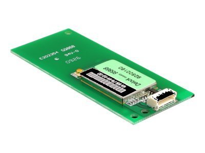 [95868] Delock WLAN USB module - Netzwerkadapter - USB