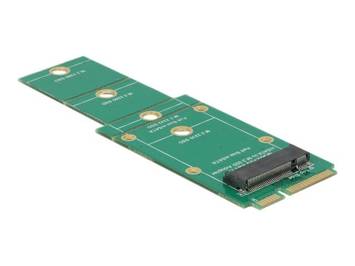 [62592] Delock Adapter M.2 NGFF > mSATA - Speicher-Controller