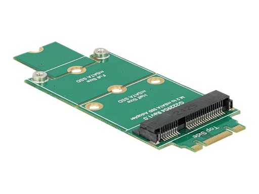 [62591] Delock Adapter mSATA > M.2 NGFF - Speicher-Controller